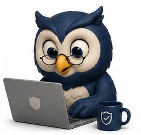 Benny the owl replying to messages on a laptop